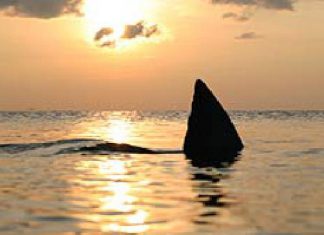 In der Pfanne noch gefährlich