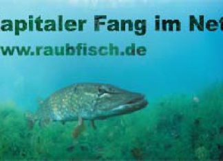 Kapitaler Fang im Netz