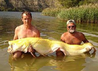 Goldgrube ausgehoben