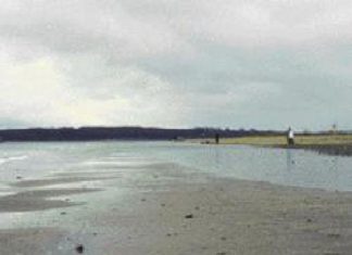 Falckensteiner Strand