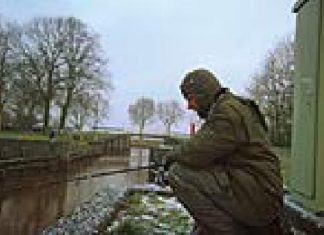 DER RAUBFISCH 6/2005