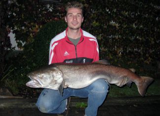 Hammer-Huchen aus der Salzach