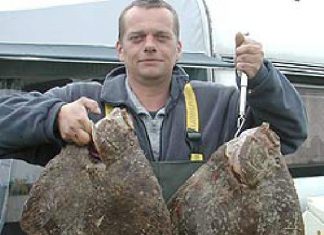 Tsunami in Dänemark?