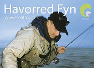 Meerforelle Fünen 2006