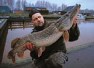 DER RAUBFISCH 1/2006