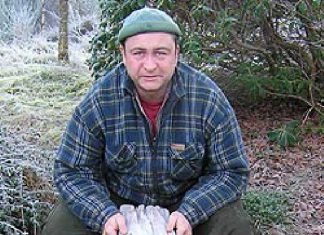 Norwegen: Saiblinge satt