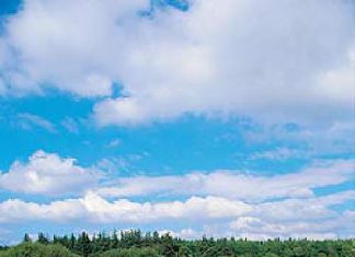 Info-Broschüre für Dänemark-Angler