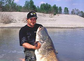 Startseite Meldung Waller-Guiding