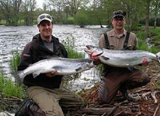 Mörrum: Jetzt geht’s los!