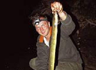 DER RAUBFISCH 4/2006