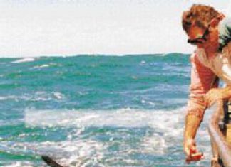 Am Kap der guten Hoffnung…