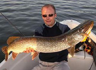 AS-Tackle – die Spezialisten für Gummiköder