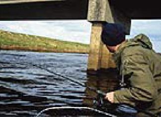 DER RAUBFISCH 6/2006