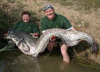 Mit 152 Pfund auf Platz 1