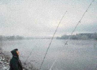 Der Oderstrom bei Bad Freienwalde