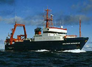 Nordsee-Fische werden gezählt