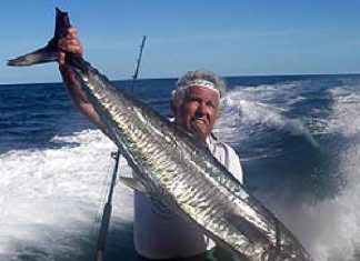 578 Fische vor Kenias Küste gefangen