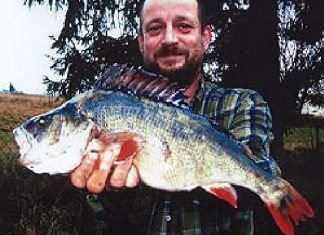 Fünfpfünder auf Gummifisch