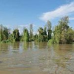 Hochwasser am Po