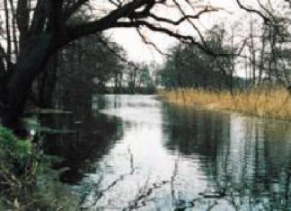 Die Mulde zwischen Eilenburg und Gruna