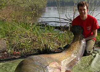 Traumstart in Italien