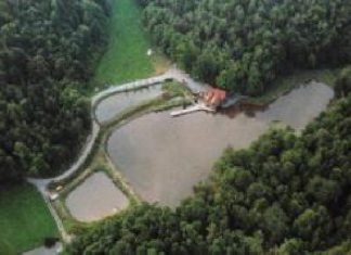 Trifthanslteich in der Steiermark