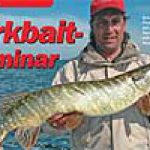 Jerkbait-Seminar