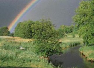 Die Warnow: Natur pur!