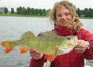 Traumbarsch abgeschleppt