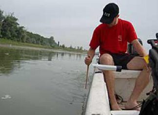 Wissenswertes zum Wallerholz