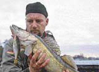 DER RAUBFISCH 4/2007