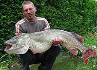 Hammer aus dem Hechtsee