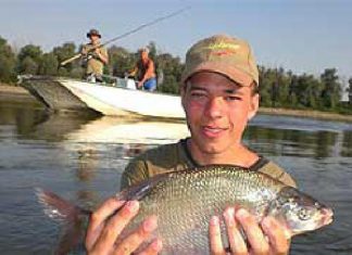 Askari-Wallercamp 2007