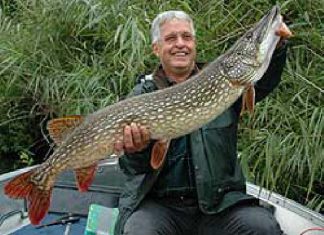 Zwei Meterhechte an einem Vormittag