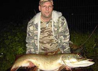 33-pfündiger Beweis