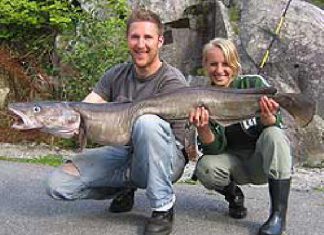 Norwegen: Fünf auf einen Streich