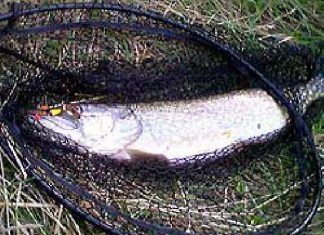 Man trifft sich immer zweimal