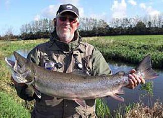 Aufseher fängt Lachs