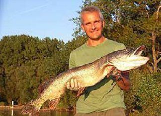 Kapitaler Hechtmilchner