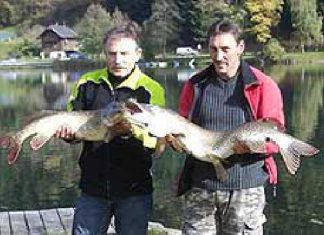 Meterhechte beim Vereinsfischen