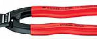 Westfalia feiert 85-jähriges Bestehen