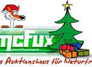 mcFux – schon jetzt eine Erfolgsstory