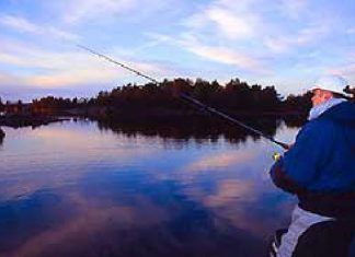 In Zeitlupe zum Erfolg