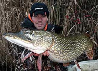 Schönes Weihnachtsgeschenk