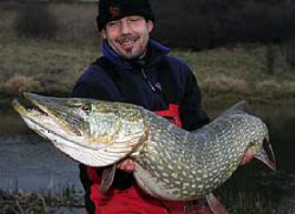 Nur für Raubfischangler