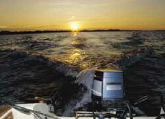 Auf Meerforellen-Kurs