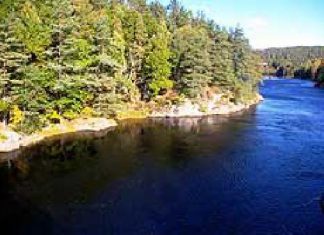 Lachsangeln an der Mandalselva