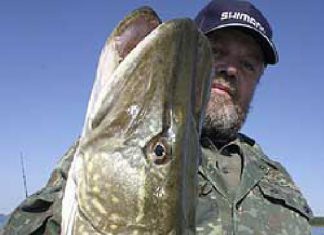 Leserreise nach Rügen