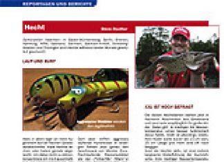 DER RAUBFISCH 2/2008