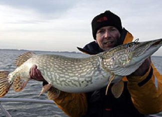 Raubfischmesse in Hamburg